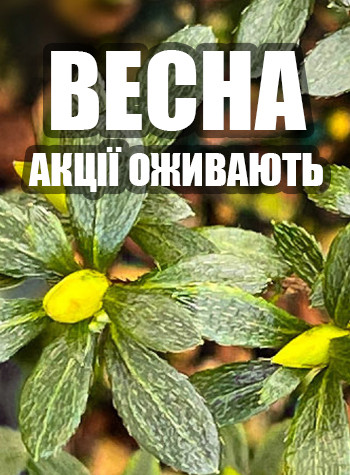 Весна 2026 - 30%