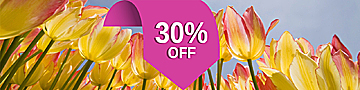 spring-2025-2-banner